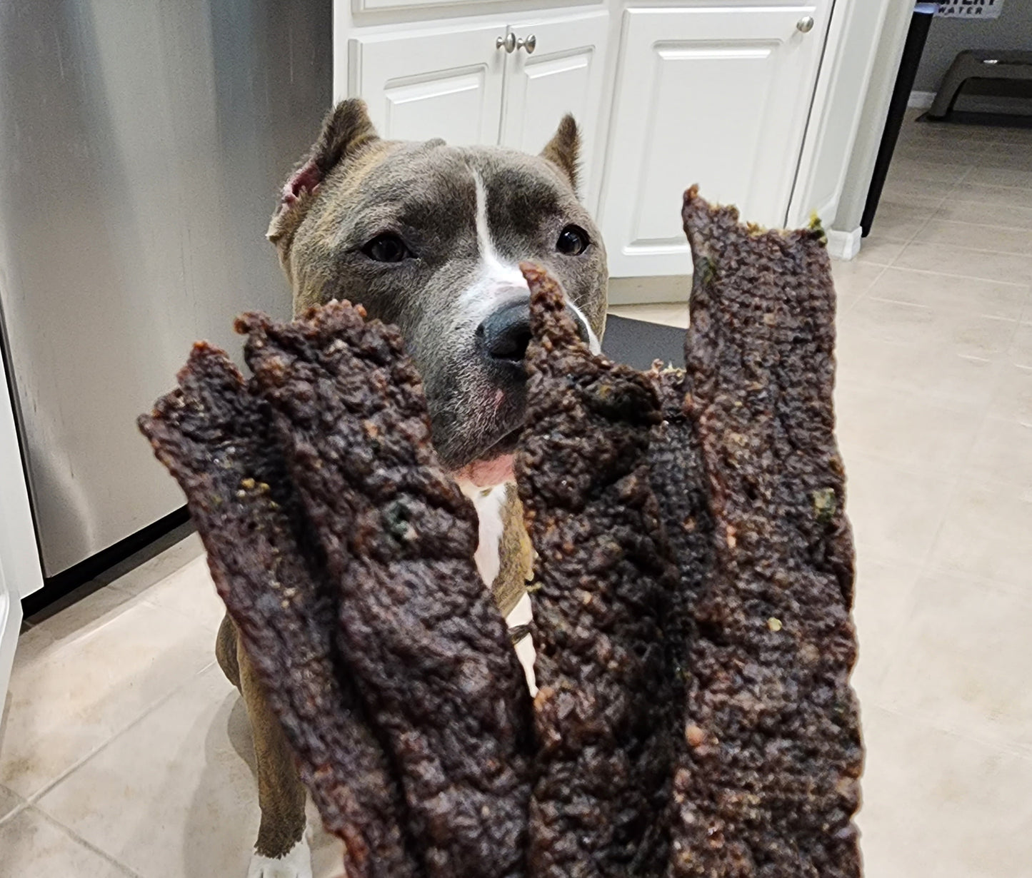 Beef strips with Organic Basil